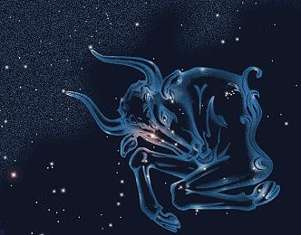 佩妮12星座每周占星运势20169591