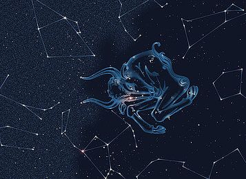 山水清澈每日星座运势20170108